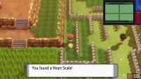 Hidden Heart Scale in Route 214.