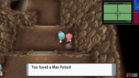 Hidden Max Potion.