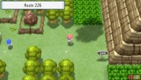 Route 226.