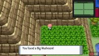 Hidden Big Mushroom.