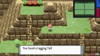 Lagging Tail.
