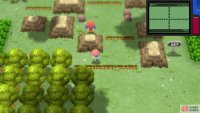 The collision detection for these ledges is wonky. Use the Circle Pad to avoid jumping off.