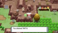 Chat to this trainer to receive TM77 Psych Up.