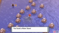 There’s a Water Stone in the watery part of Route 213.