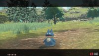 Mai’s partner is Munchlax, a baby Snorlax.