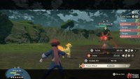 Focus on Fire, Rock or Flying moves for a quick victory.