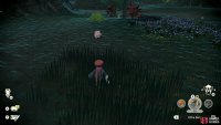 Before it appears, you must catch a Clefairy.