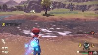 When a shiny Pokémon appears, stars will appear and there will be a chime.