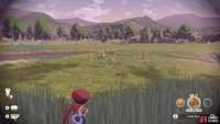 The shiny Pokémon will also have a different color.