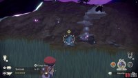 You’ll often encounter fully evolved Pokémon like Toxicroak and Steelix here.