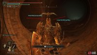 Take the tunnel towards the Small Rat, and drop the hole behind it