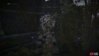 the headpiece can be found by scaling the thin wall to the side of Seluvis’s Rise.