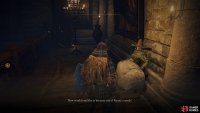 return to Rogier after meeting Ranni and then head back to Ranni once more for his request