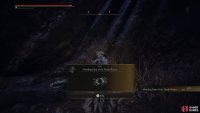 then defeat the Lichdragon to obtain the Mending Rune of the Death-Prince