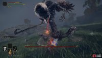 Watch out for the Deathbirds peck when standing under its head
