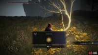 Get past some Direwolves and you can loot a Golden Seed.