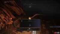 then loot a chest to obtain a Deathroot.