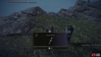 Loot a seated corpse along the northern end of the plateau to obtain a Stonesword Key.