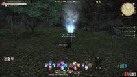 Head to Monveil Forest