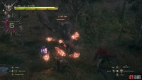 Find an Ogre and use !Will-o&rsquo;-the-Wykes to absorb oopsie damage,