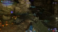 The Na&rsquo;vi bow can be found to the right of the Discarded Food.