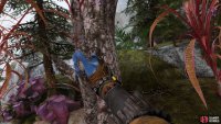 Once you&rsquo;ve found a high-quality one, pull the branch to the left when breaking it off.
