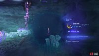 Don&rsquo;t forget to use your Na&rsquo;vi Sense to see if it&rsquo;s the correct rarity.