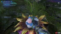You will be harvesting it just like the normal version.