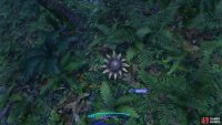 Find out where it landed after shooting it to harvest the material.