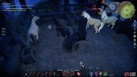 You&rsquo;ll find at least 8 horses in the stables of the Horse Track, giving you a decent number of options early on.