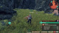 Take this narrow path to reach the upper area of Corne Island