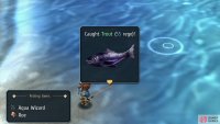 Trout,