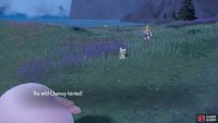 You can beat up some Chansey or other high level mons.