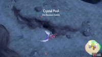 Head to the southern area of the Crystal Pool.