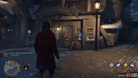 Go into the Tinkerer&rsquo;s store next to the fashion store for the next Demiguise Moon in !Hogsmeade.