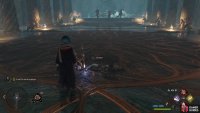 Search Jackdaw&rsquo;s body,