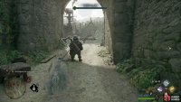 Use Petrificus Totalus on the goblin &ldquo;guarding&rdquo; the gate.