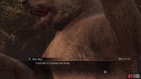 Yep, you&rsquo;re fighting a bear