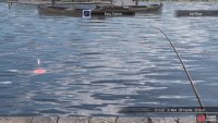 Cast your line near a fish&rsquo;s shadow in the water