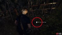 to find a Golden Egg on the chicken farm here.