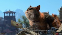 Bring Gale along and let him do the talking, or succeed at some dialog checks to convince the Tressym to stop preying on the pigeons.