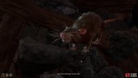 Seek out a rat outside of Gammon’s shop and talk to it with Speak With Animals active to learn about the “evil thing”.