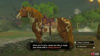 Choose to attach the Towing Harness to your horse.
