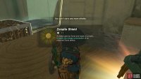 Securing the shield from the chest