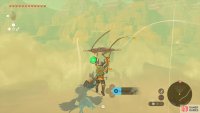 glide north from Gerudo Town&rsquo;s Shrine