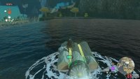so you can cross the river.