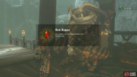For your trouble Kaneli will give you a Red Rupee.