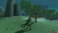 She’ll reveal herself to be a Yiga Soldier in disguise