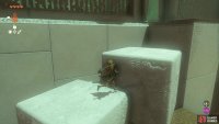 then use the cubes to climb up to the end of the shrine. 