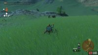 Increase your sneak and crouch to get on the Stalhorse.